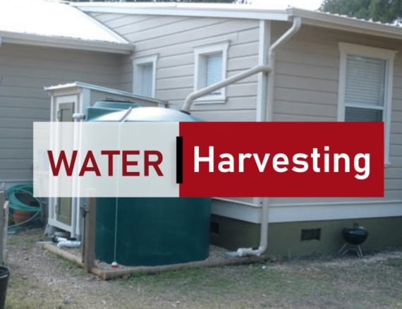 water harvesting
